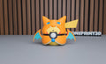 Pikachu x Charizard Poncho Ball
