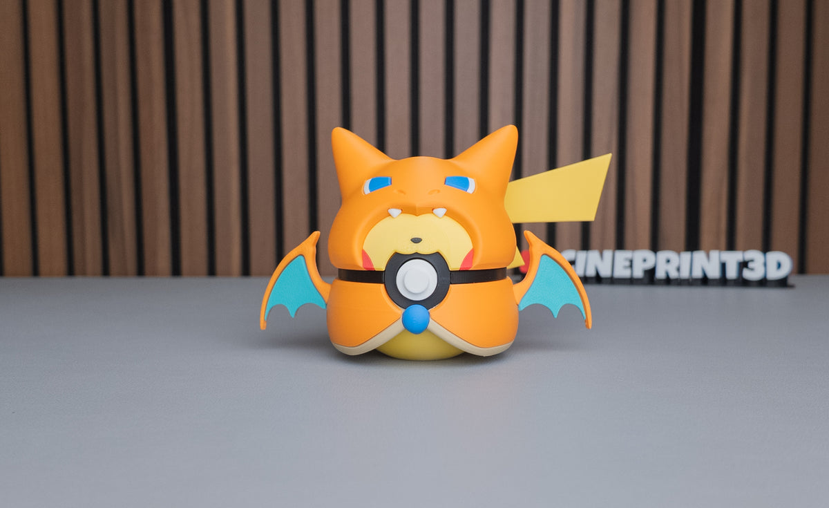 Pikachu x Charizard Poncho Ball