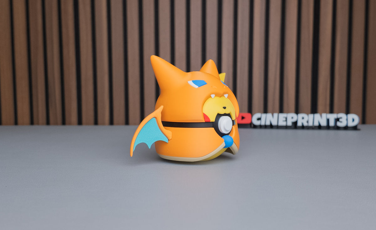 Pikachu x Charizard Poncho Ball