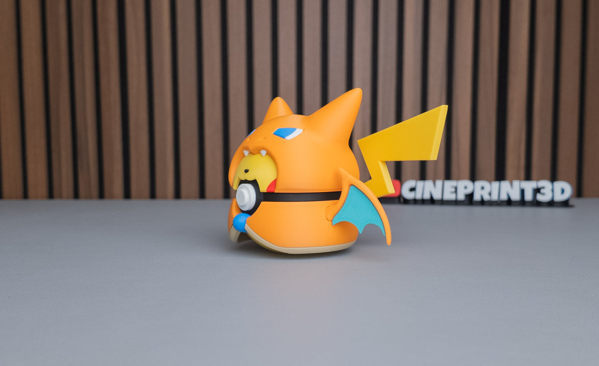 Pikachu x Charizard Poncho Ball