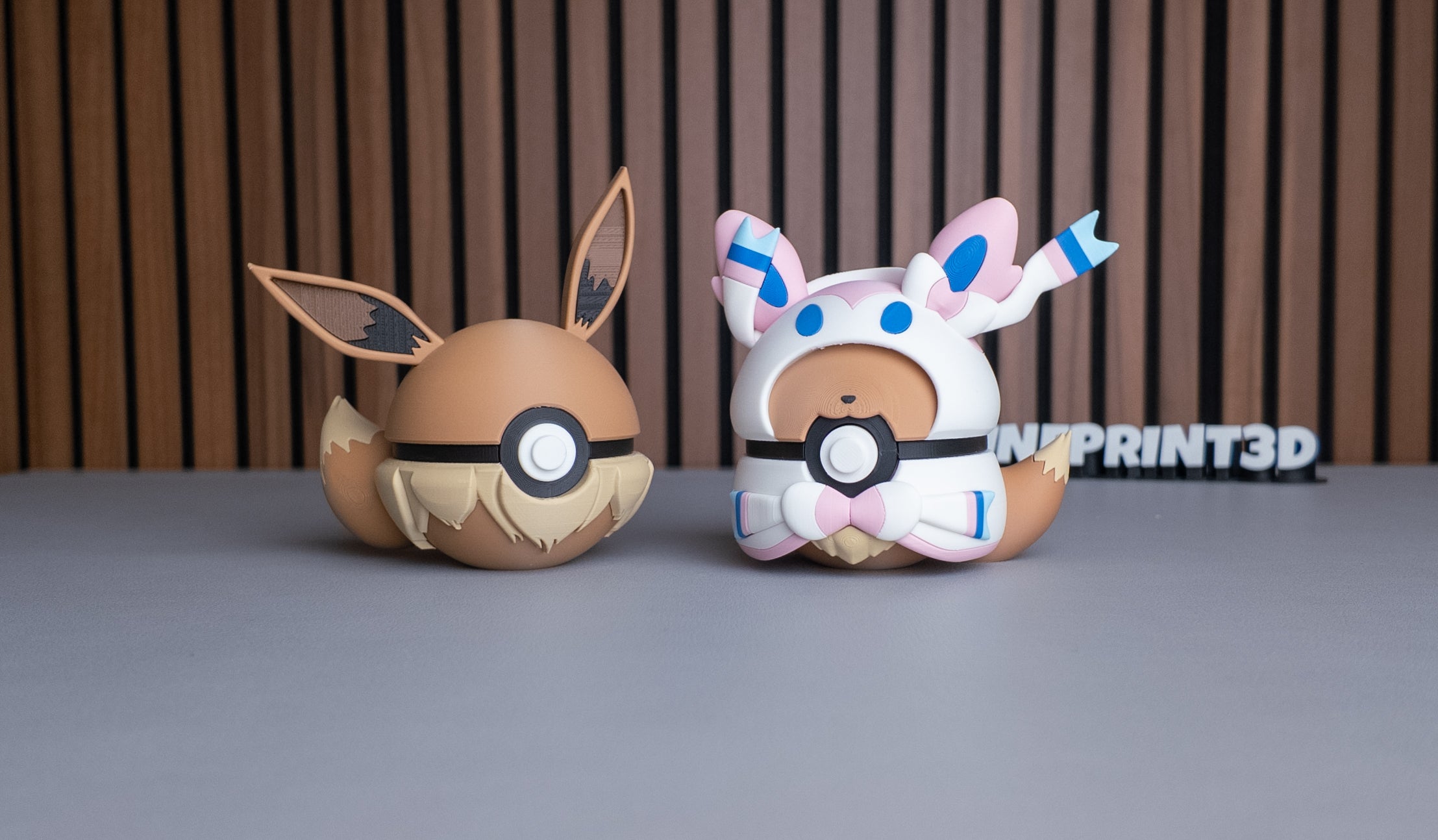 Eevee + Sylveon Poncho Set