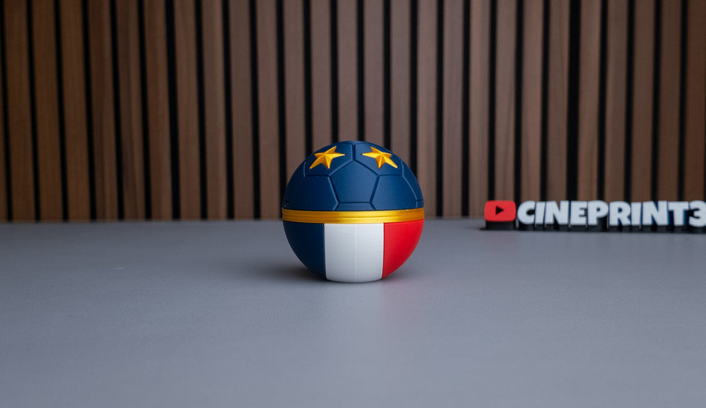 France National Team Ball (Home)