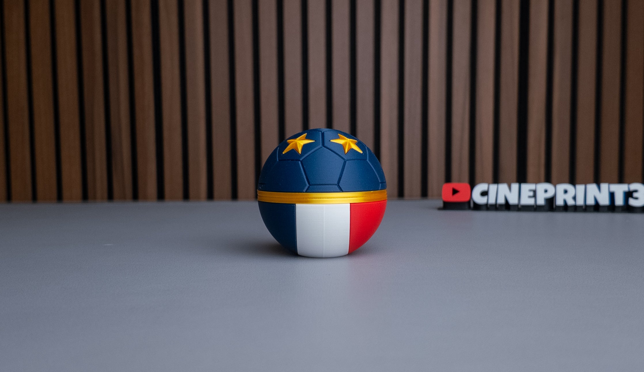 France National Team Ball (Home)