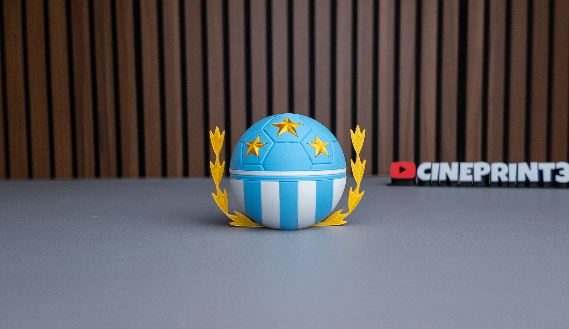 Argentina National Team Ball