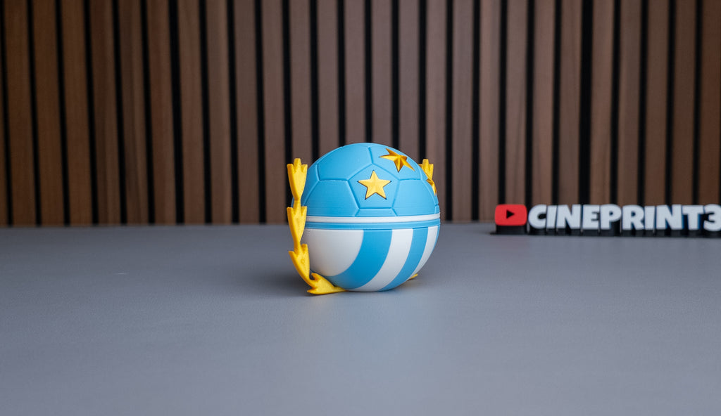 Argentina National Team Ball