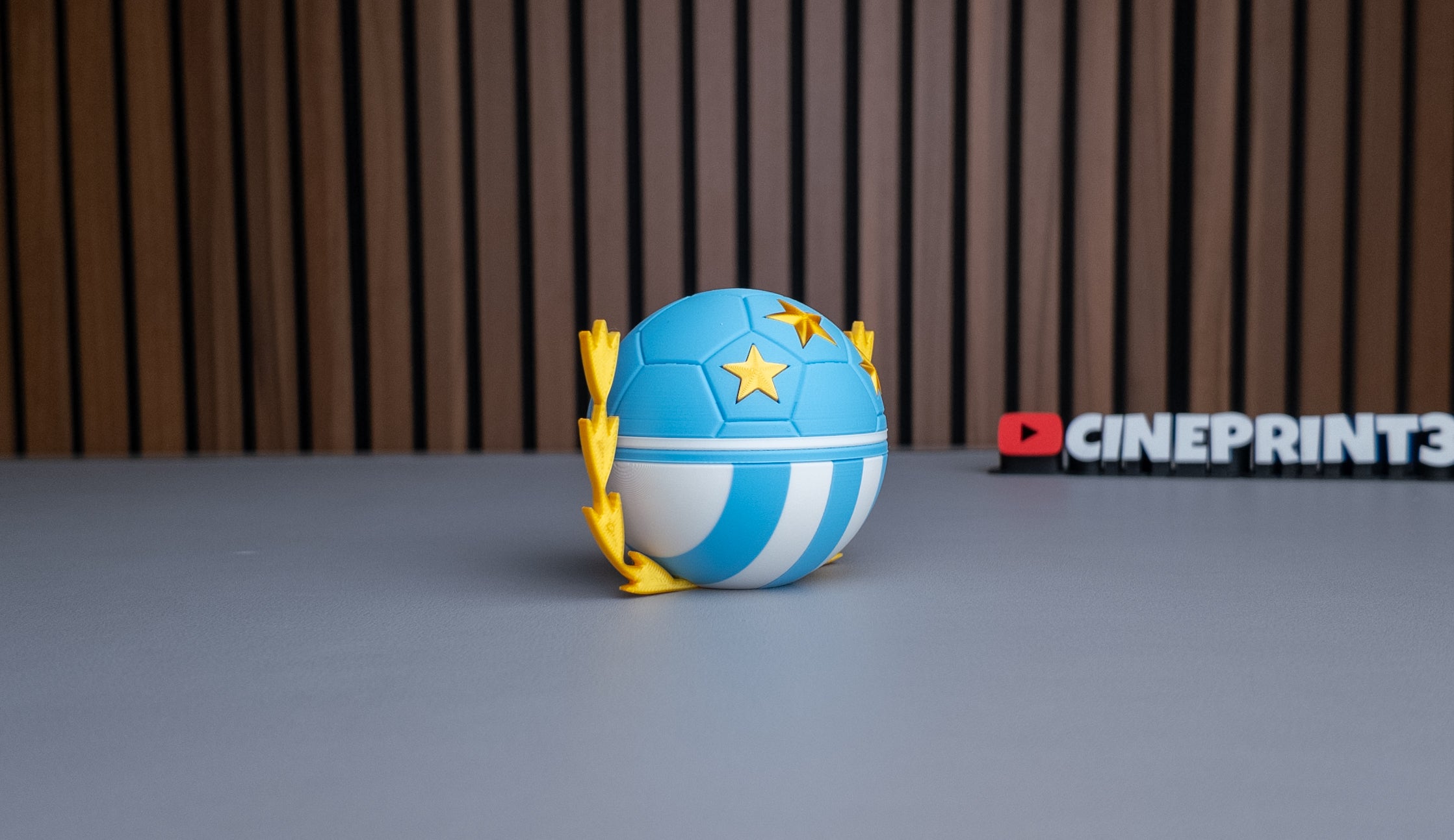 Argentina National Team Ball