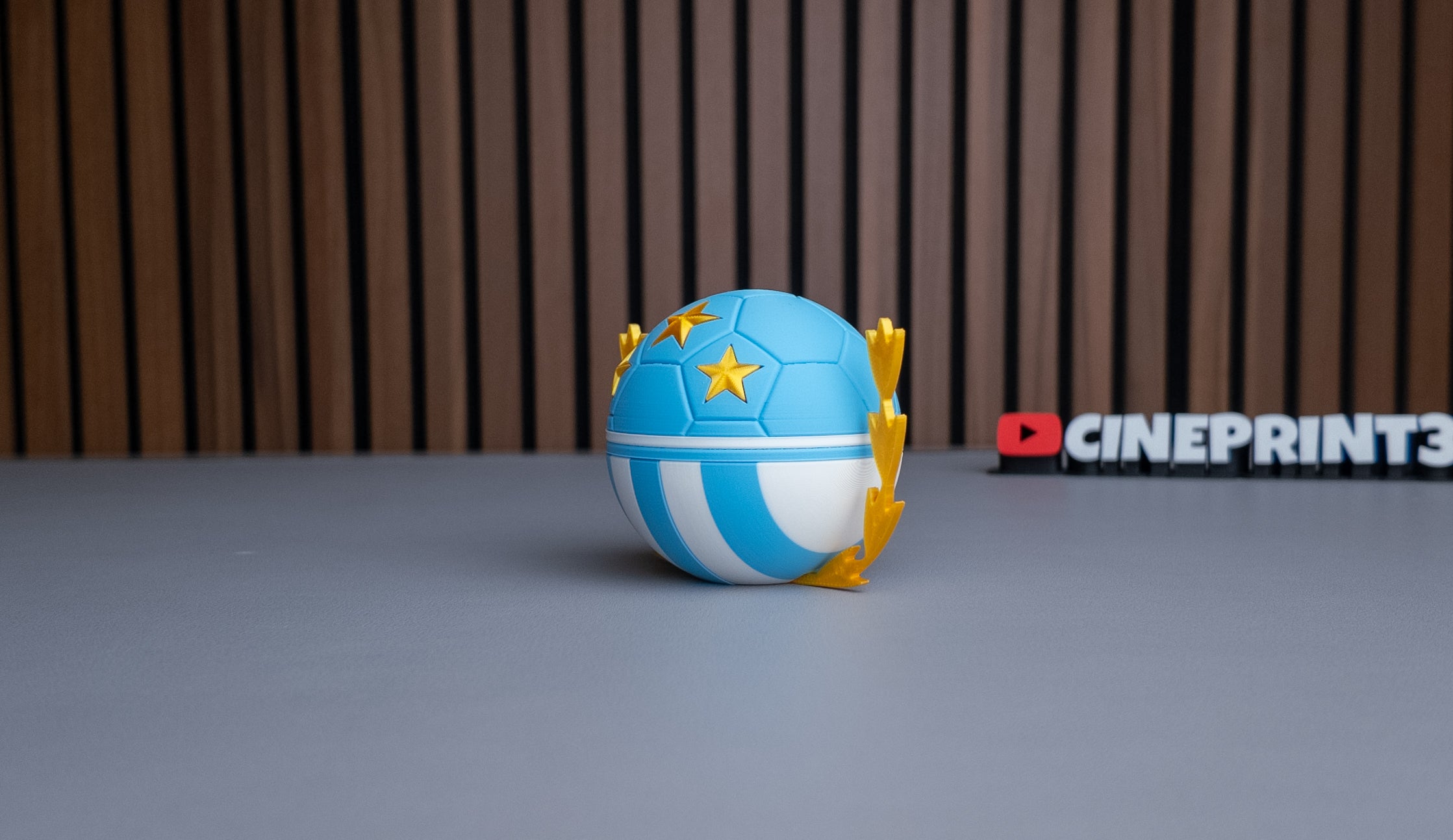 Argentina National Team Ball