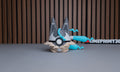Mega Lucario Z Ball