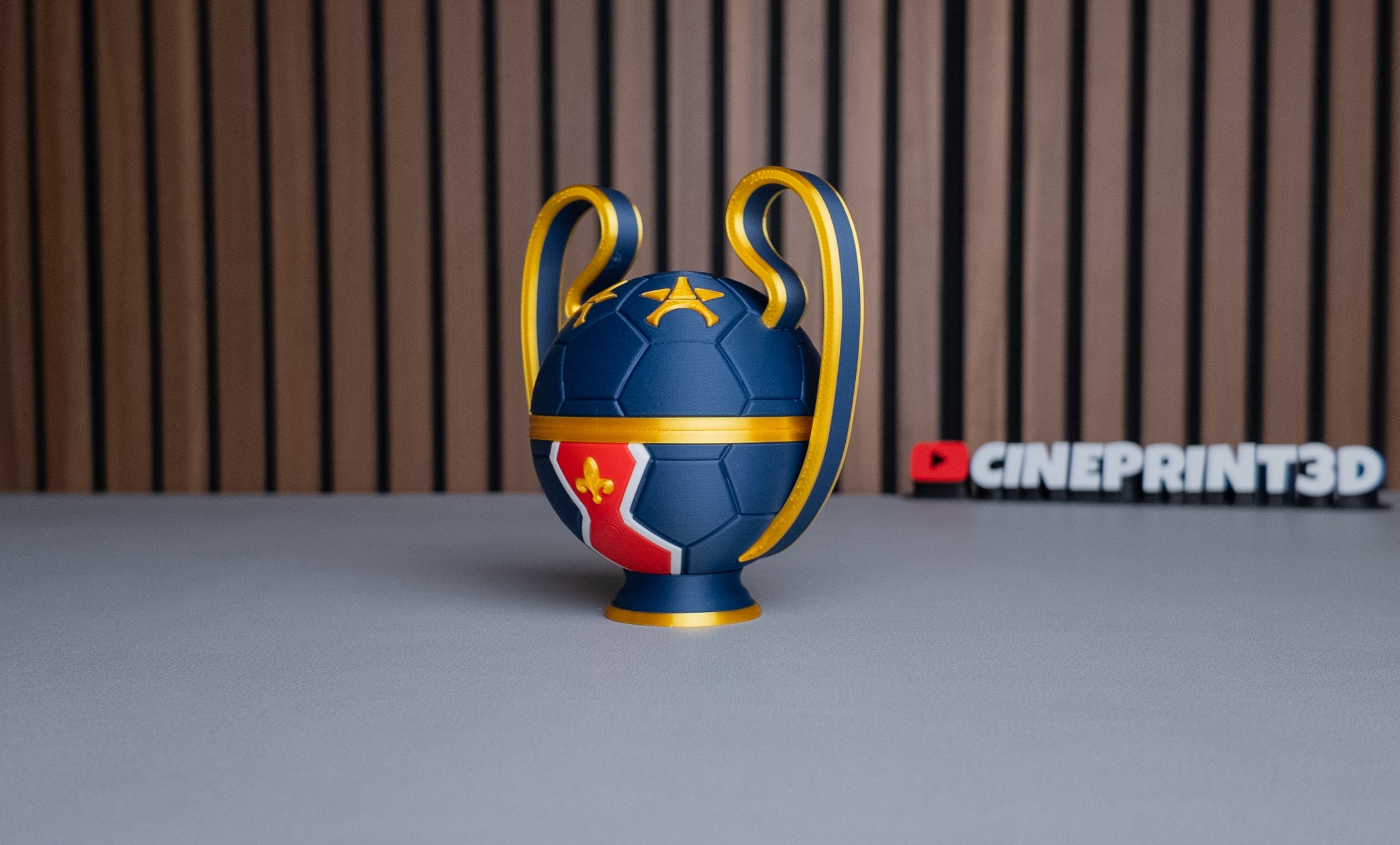 PSG Ball (Champions League)