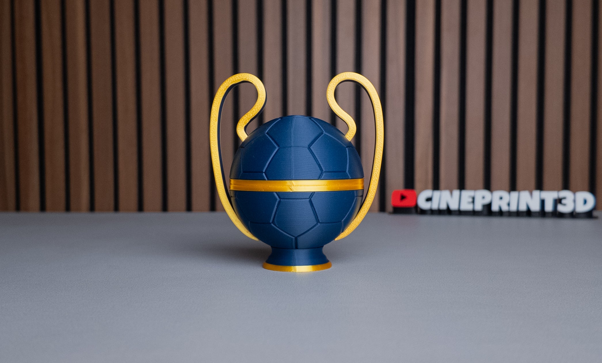 PSG Ball (Champions League)