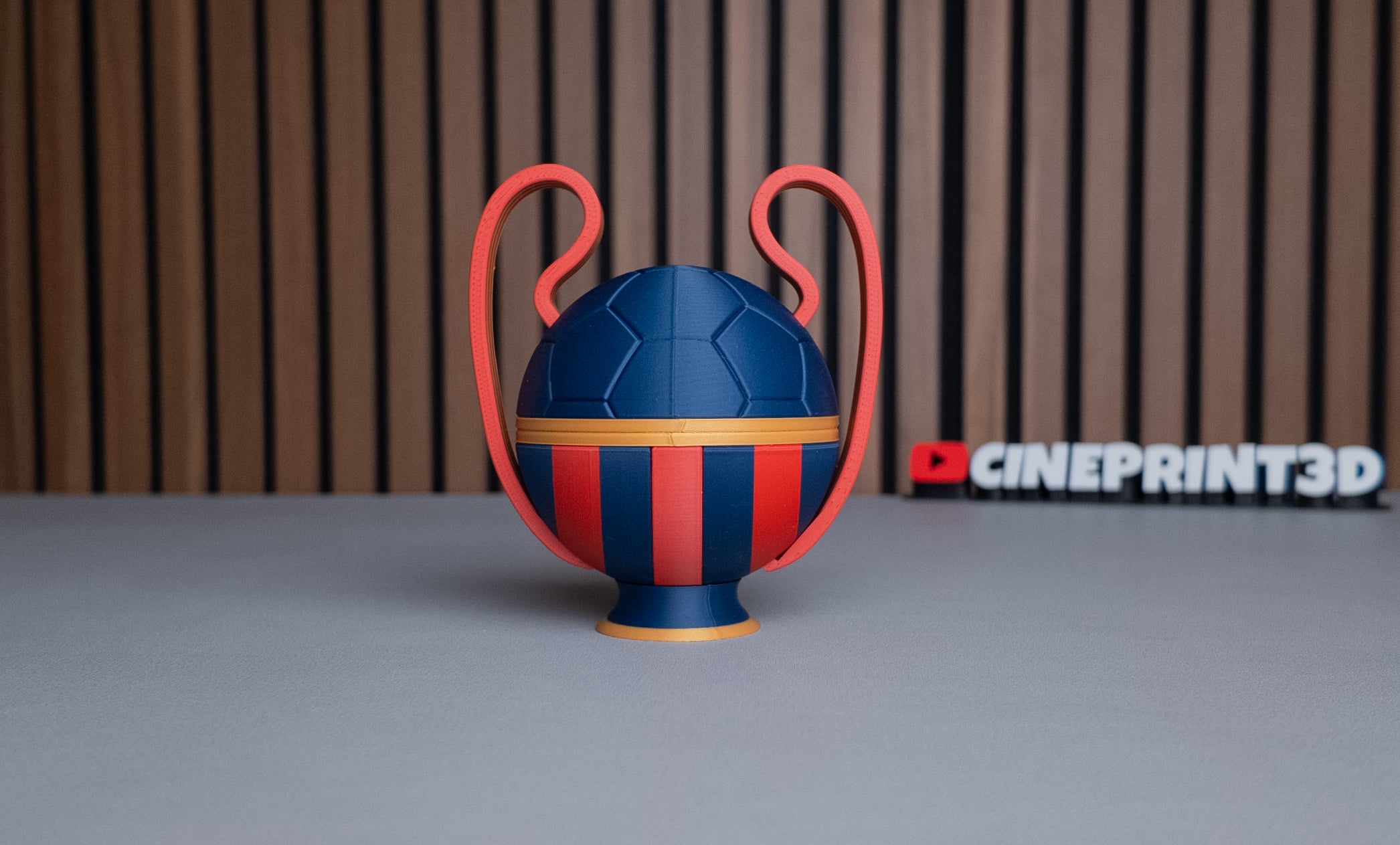 FC Barcelona Ball (Champions League)