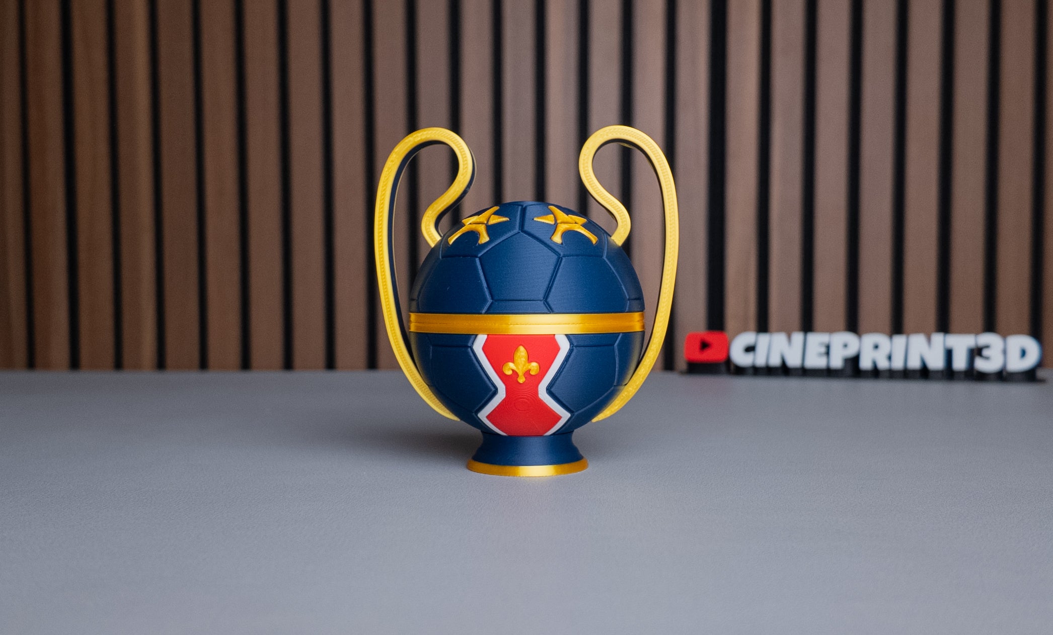 PSG Ball (Champions League)