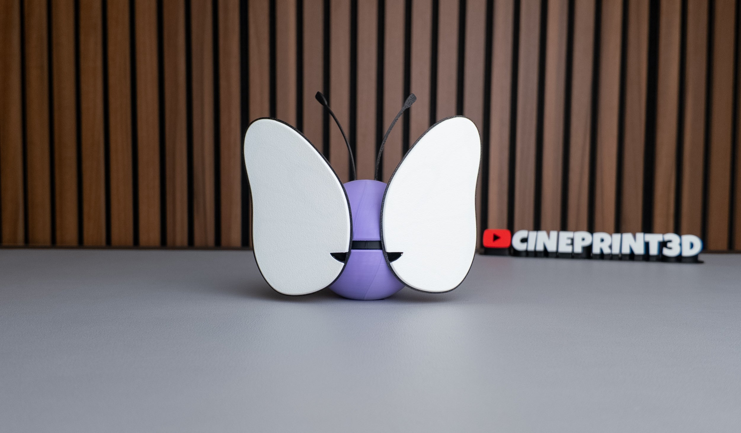 Butterfree Ball