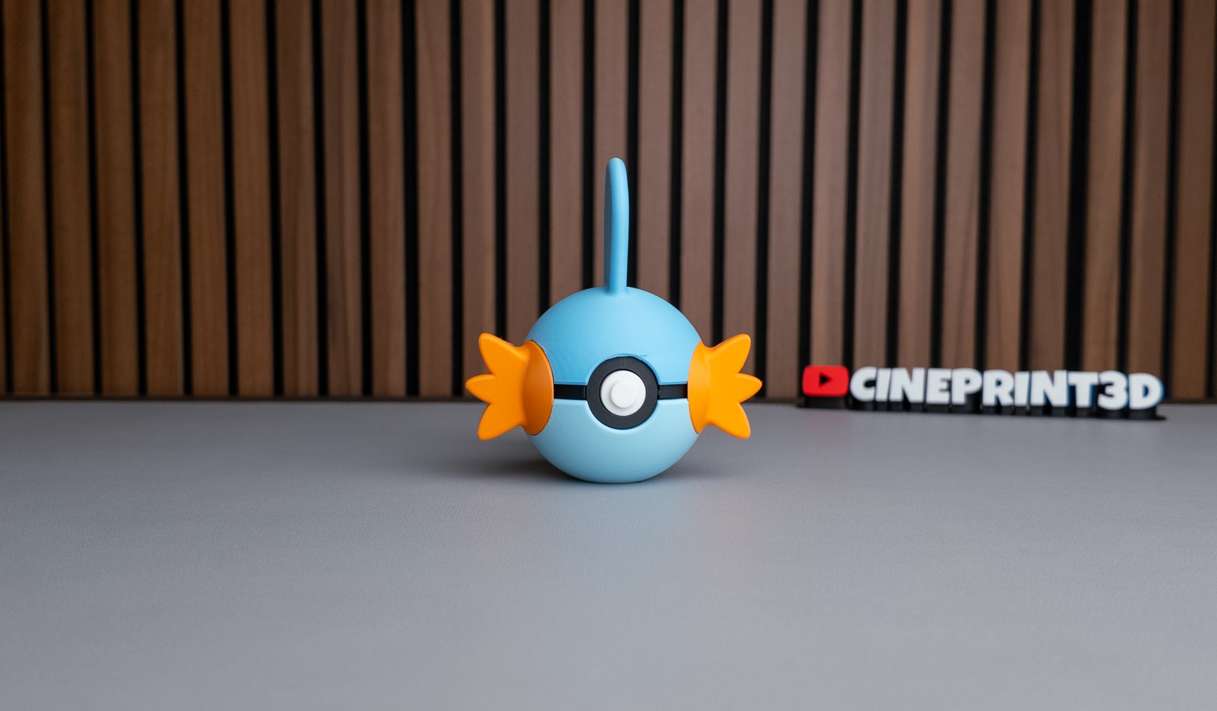 Mudkip Ball A