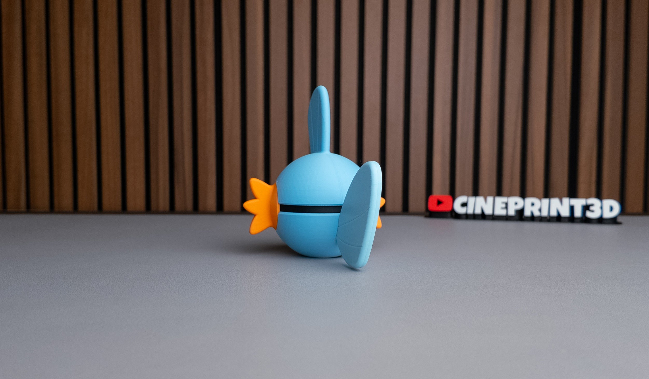Mudkip Ball A