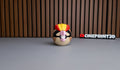 Pidgeot Ball
