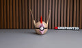 Fearow Ball
